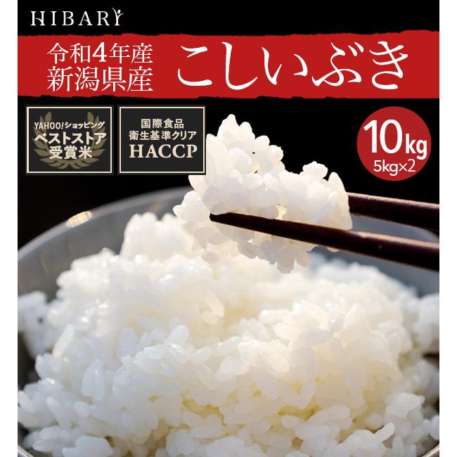 令和4年産 新潟県産こしいぶき 10kg(5kg×2袋) 米 お米 白米 新潟産