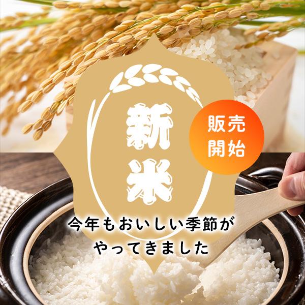 令和6年産 ゆめぴりか 10kg 特別栽培米 北海道産 農家直送 令和6年産 ゆめぴりか 10kg 特別栽培米 北海道産 農家直送