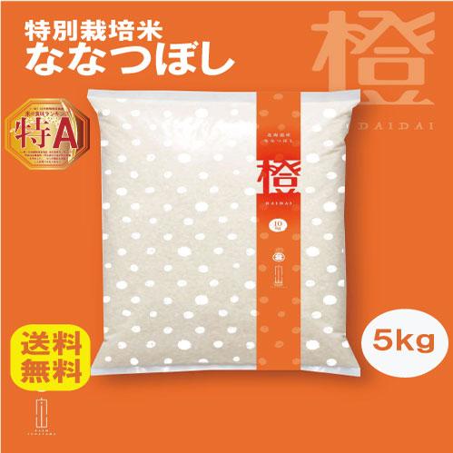 ななつぼし 5kg 特別栽培米 令和7年産 北海道産 農家直送 農家直売