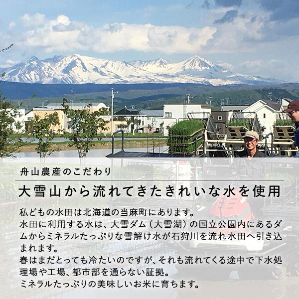 ななつぼし 20kg 特別栽培米 令和7年産 北海道産 農家直送 農家直売