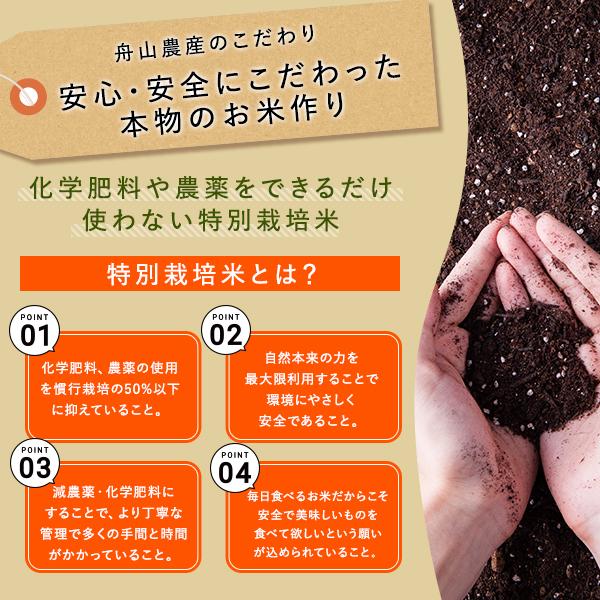 令和7年度産 農家直送 特別栽培米 　　　ななつぼし 20kg(10kg ×2) ななつぼし 20kg 特別栽培米 令和7年産 北海道産 農家直送 農家直売