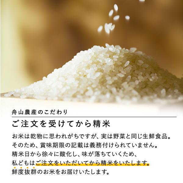 ななつぼし 20kg 特別栽培米 令和7年産 北海道産 農家直送 農家直売