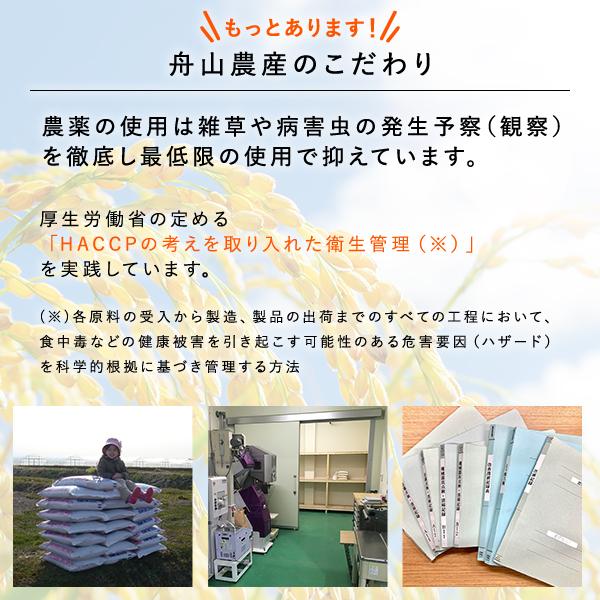 ななつぼし 20kg 特別栽培米 令和7年産 北海道産 農家直送 農家直売