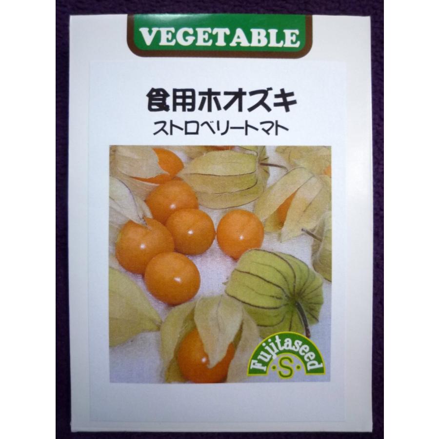 種子 食用ホオズキ ストロベリートマト 藤田種子 21 11 ゆうパケット便可能 ガーデンショップ ミカワ 通販 Yahoo ショッピング