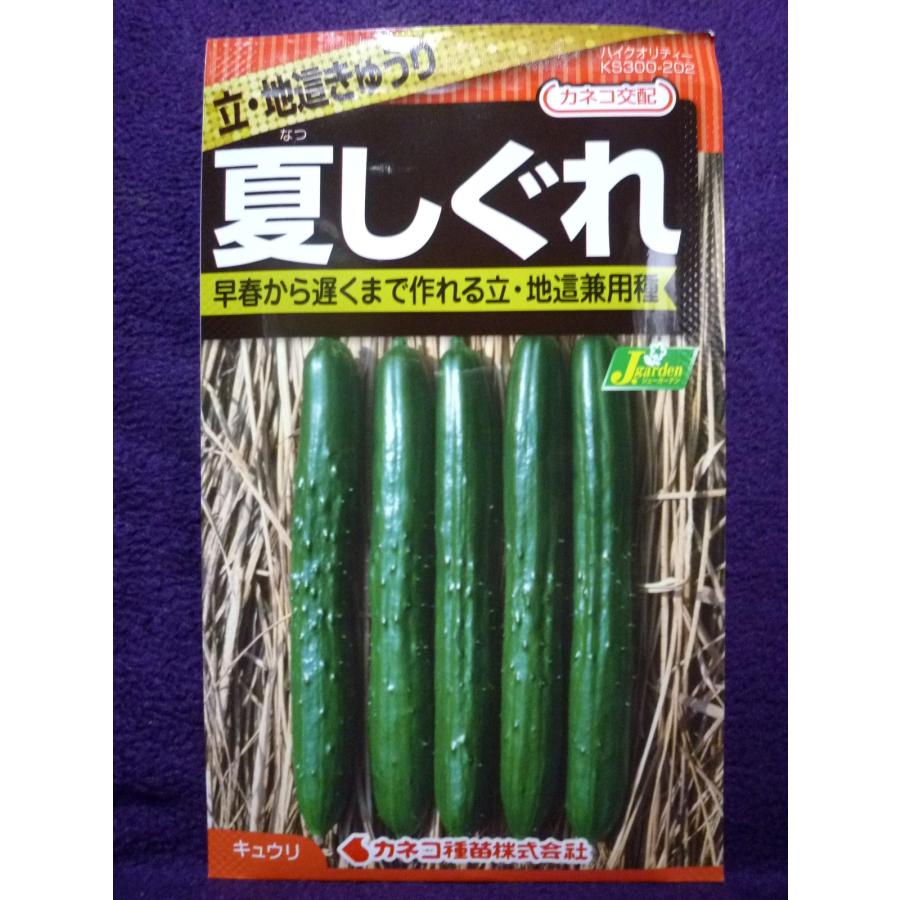 種子 立 地這きゅうり 夏しぐれ キュウリ カネコ種苗 21 10 長期間作れる立 地這兼用種 ゆうパケット便可能 ガーデンショップ ミカワ 通販 Yahoo ショッピング