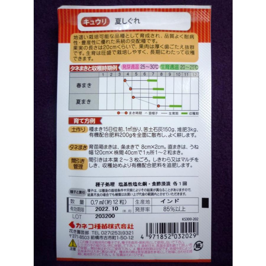 種子 立 地這きゅうり 夏しぐれ キュウリ カネコ種苗 21 10 長期間作れる立 地這兼用種 ゆうパケット便可能 ガーデンショップ ミカワ 通販 Yahoo ショッピング