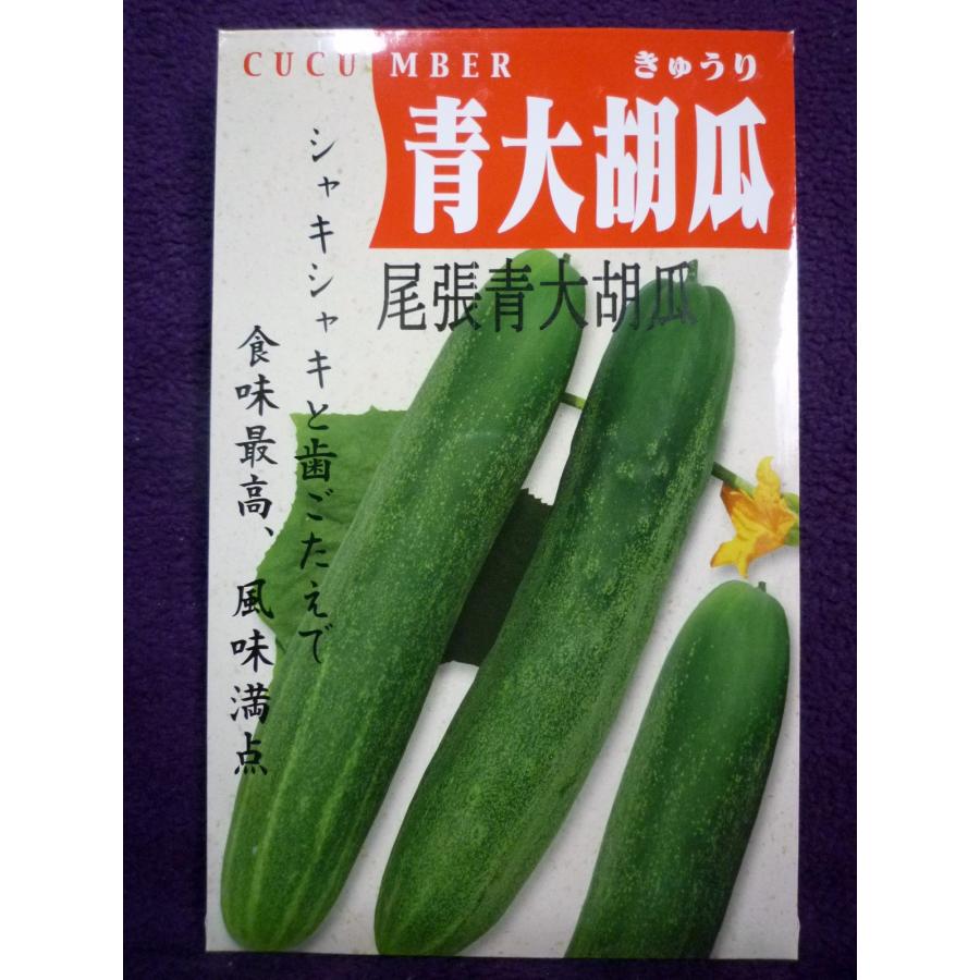 66 Off 種子 尾張青大胡瓜 きゅうり アサヒ農園 22 10 とても太い白イボきゅうり ゆうパケット便可能 Globescoffers Com