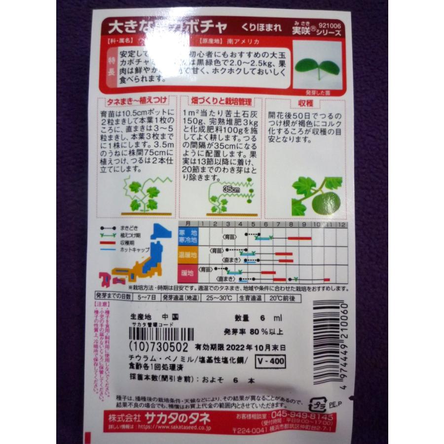 ☆種子☆ 大きな栗カボチャ くりほまれ V サカタのタネ 22.10 ◎初心者にもおすすめの大玉カボチャ♪ (ゆうパケット便可能) :1116020:ガーデンショップ ミカワ - 通販 - Yahoo!ショッピング ☆種子☆ 大きな栗カボチャ くりほまれ V サカタのタネ 22.10 ◎初心者にもおすすめの大玉カボチャ♪ (ゆうパケット便可能) :1116020:ガーデンショップ ミカワ - 通販 - Yahoo!ショッピング