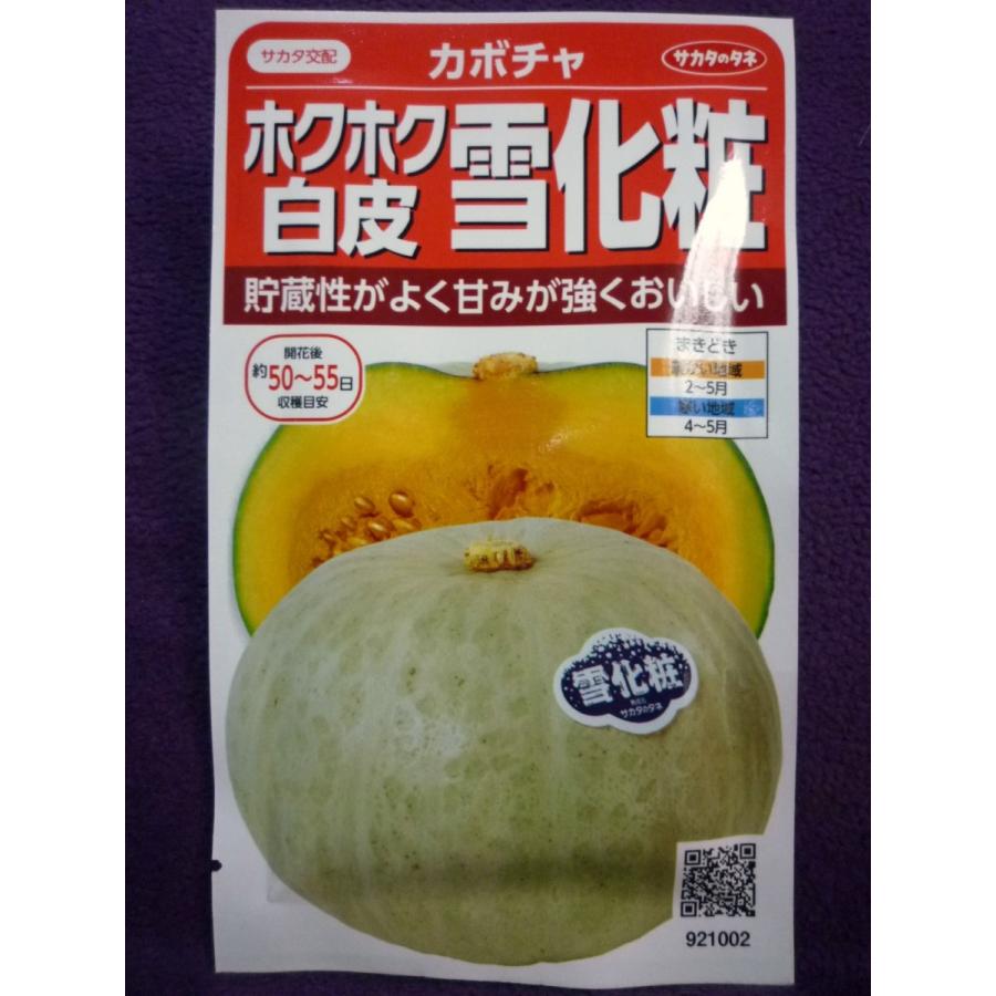 70 Off 種子 ホクホク白皮カボチャ 雪化粧 ｖ サカタのタネ 22 10 白皮で粉質のホクホクカボチャ ゆうパケット便可能