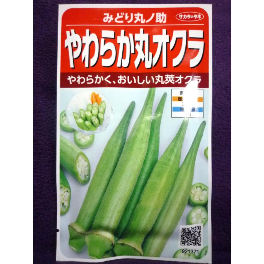 豪華 種子 やわらか丸オクラ みどり丸ノ助 ｖ サカタのタネ 22 10 大きく育っても収穫できる ゆうパケット便可能