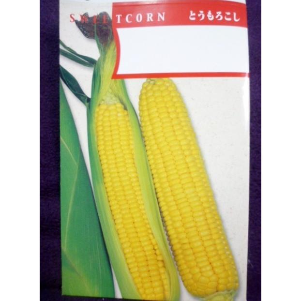 種子 甲州とうもろこし トウモロコシ ４０ｍｌ アサヒ農園 22 10 昔ながらの ゆうパケット便可能 b ガーデンショップ ミカワ 通販 Yahoo ショッピング