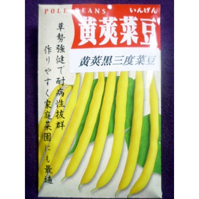 激安店舗 インゲン インゲン豆 マメ タネ つるありすじなし菜豆 1袋 25ml 種 野菜たね Ytc60