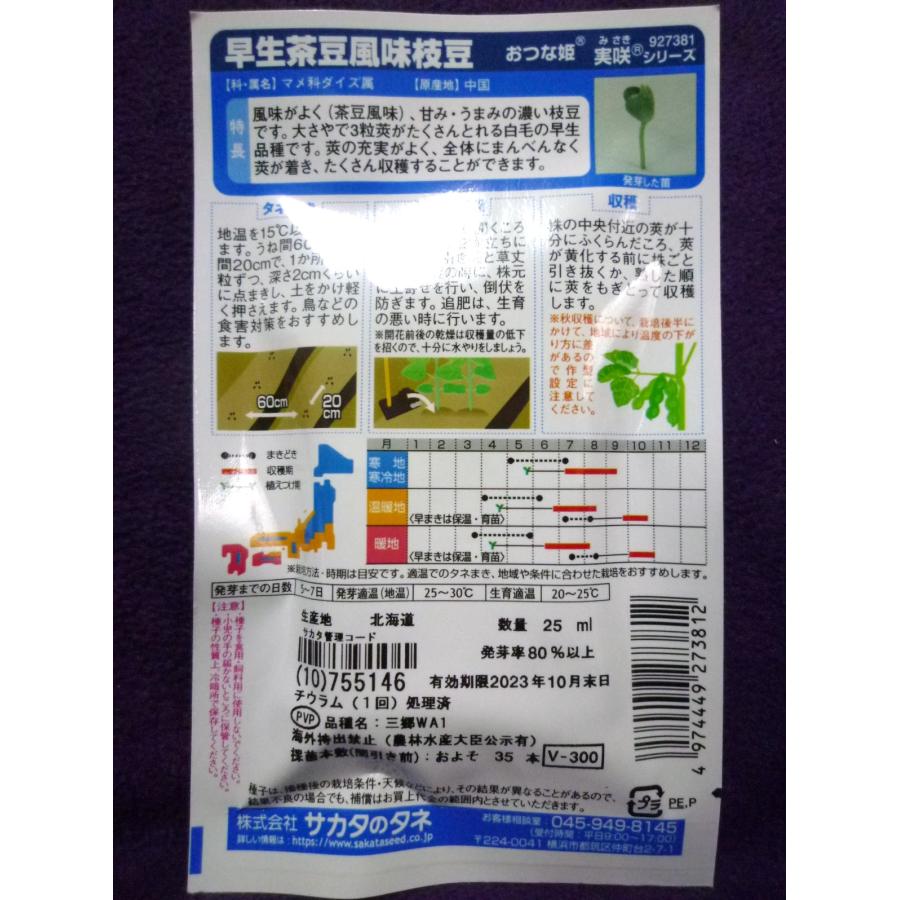 ☆種子☆ 早生茶豆風味枝豆 おつな姫(R) V サカタのタネ 23.10 ◎甘みと風味がよい♪ (ゆうパケット便可能) :1122017:ガーデンショップ ミカワ 通販 ★種子★ あまうま(R)中かぶ 玉波 V サカタのタネ 23.10 ◎味と作りやすさでカブの代表種♪ (ゆうパケット便可能)