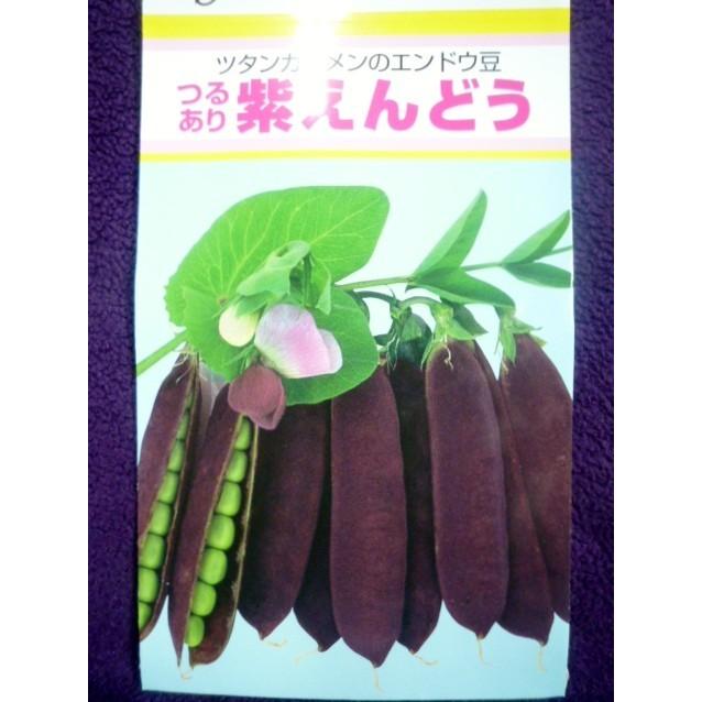 種子 処分 格安 つるあり紫えんどう ツタンカーメンのエンドウ豆 ゆうパケット便２ｃｍ以下便可能 １ｄｌ 22.05 アサヒ農園 贅沢品