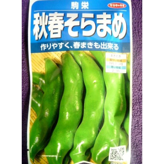 種子 秋春そらまめ 駒栄 ｖ サカタのタネ 22 05 春まきに好適です ゆうパケット便可能 ガーデンショップ ミカワ 通販 Yahoo ショッピング