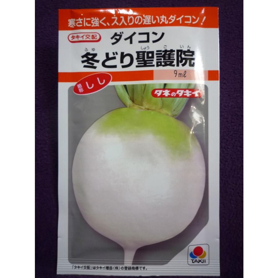 ☆種子☆ 冬どり聖護院 ダイコン RF タキイ種苗 23.04 ◎良質でス入りの遅い丸ダイコン♪ (ゆうパケット便可能) :1131225b:ガーデンショップ ミカワ - 通販 - Yahoo!ショッピング ☆種子☆ 冬どり聖護院 ダイコン RF タキイ種苗 23.04 ◎良質でス入りの遅い丸ダイコン♪ (ゆうパケット便可能) :1131225b:ガーデンショップ ミカワ - 通販 - Yahoo!ショッピング
