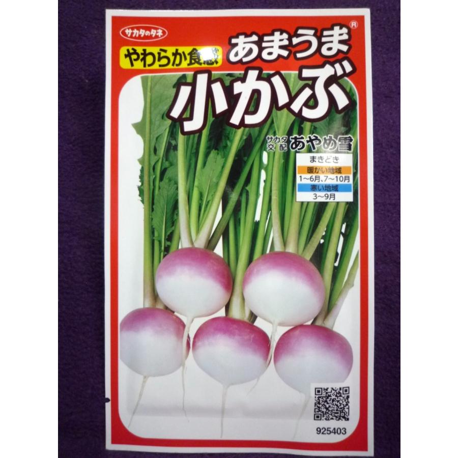 種子 あまうま小かぶ あやめ雪 ｖ サカタのタネ 23 05 美しい彩りと食味のよさが自慢 ゆうパケット便可能 ガーデンショップ ミカワ 通販 Yahoo ショッピング