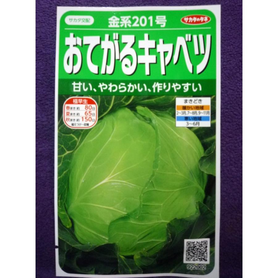 126円 ビッグ割引 キャベツ タネ F1やわらかキャベツ 1袋 3ml 種 野菜たね Ytc16