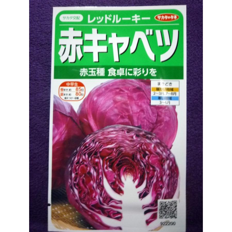 種子 赤キャベツ レッドルーキー V サカタのタネ 22 10 サラダや酢漬けで鮮やかな色を楽しむ ゆうパケット便可能 a ガーデンショップ ミカワ 通販 Yahoo ショッピング