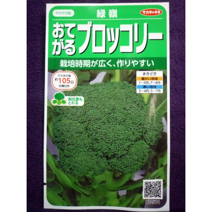 ☆種子☆ おてがるブロッコリー 緑嶺 V サカタのタネ 23.10 ◎家庭菜園