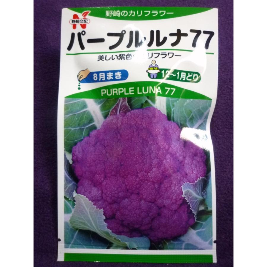 種子 パープルルナ77 カリフラワー 野崎採種場 23 05 美しい紫色のカリフラワー ゆうパケット２ｃｍ以下便可能 ガーデンショップ ミカワ 通販 Yahoo ショッピング
