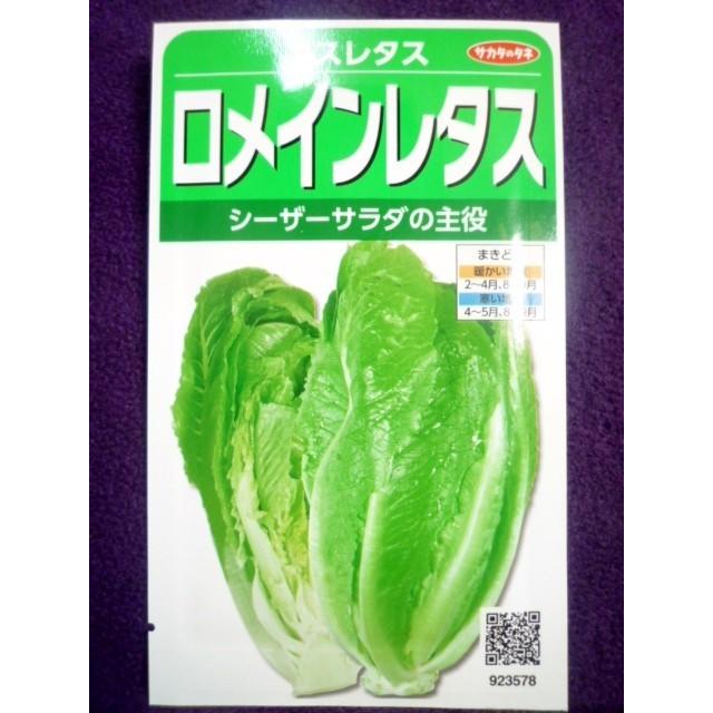 種子 処分 ロメインレタス コスレタス V サカタのタネ 21 05 葉がしっかりしているので炒め物にも ゆうパケット便可能 a ガーデンショップ ミカワ 通販 Yahoo ショッピング