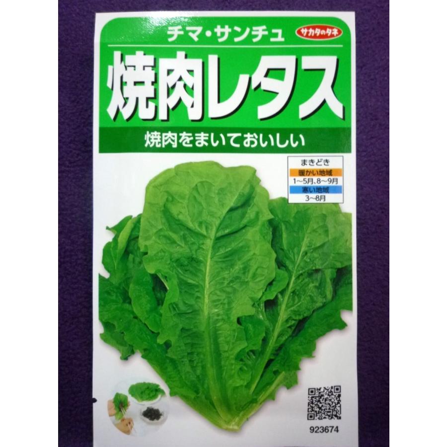 種子 処分 焼肉レタス 緑 チマ サンチュ ｖ サカタのタネ 21 10 シャキッとした食感 ゆうパケット便可能 1143054 ガーデンショップ ミカワ 通販 Yahoo ショッピング