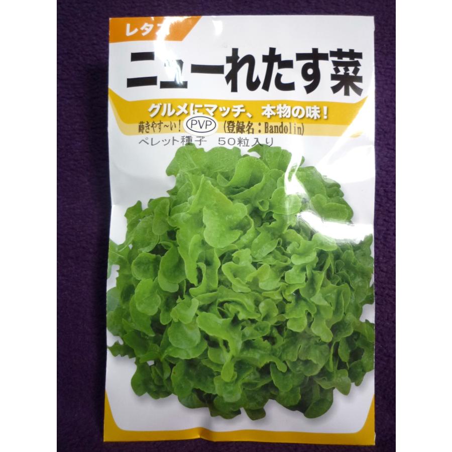 同梱不可 菜園くらぶ Yahoo 店葉菜類の種 わさび菜 コート0粒 野菜の種 Cfc Com Do