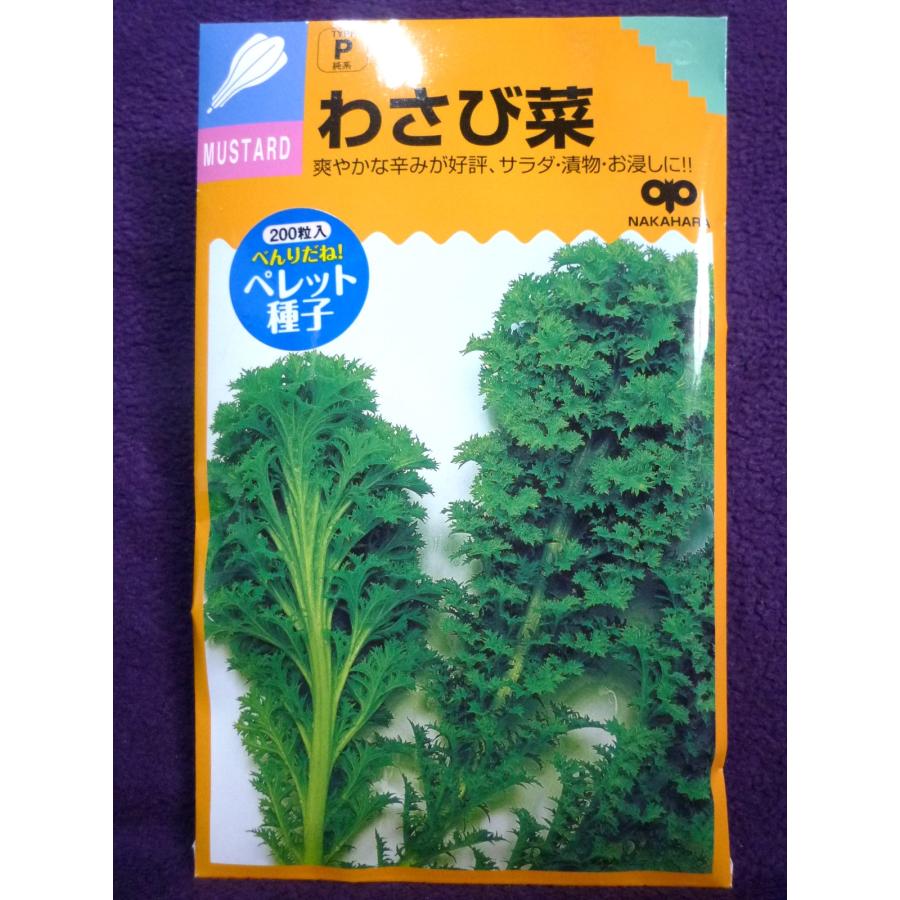 ☆種子☆処分☆ わさび菜 生食・装飾野菜 中原採種場 22.09 ◎レタス、パセリに代わる生食・装飾野菜♪ (ゆうパケット便可能) :1146007a:ガーデンショップ ミカワ - 通販 - Yahoo!ショッピング ☆種子☆処分☆ わさび菜 生食・装飾野菜 中原採種場 22.09 ◎レタス、パセリに代わる生食・装飾野菜♪ (ゆうパケット便可能) :1146007a:ガーデンショップ ミカワ - 通販 - Yahoo!ショッピング