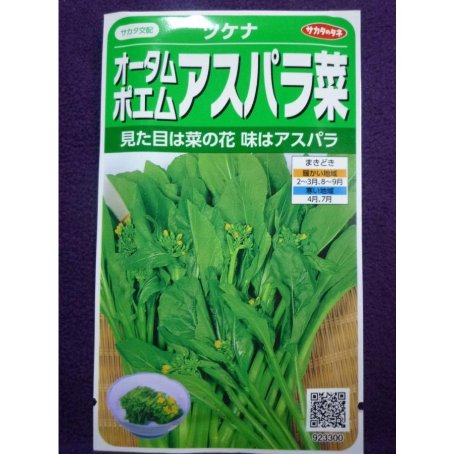 種子 オータムポエム アスパラ菜 ツケナ V サカタのタネ 23 05 ゆうパケット便可能 ガーデンショップ ミカワ 通販 Yahoo ショッピング