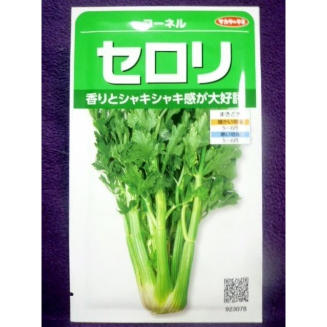 人気特価 種子 セロリ コーネル ｖ サカタのタネ 22 10 爽やかな香りで人気沸騰 ゆうパケット便可能