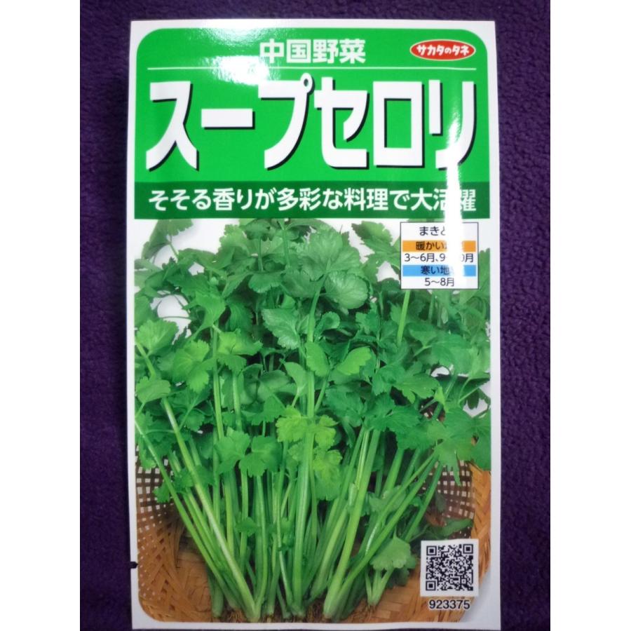 種子 スープセロリ 芹菜 ｖ サカタのタネ 21 05 ゆうパケット便可能 ガーデンショップ ミカワ 通販 Yahoo ショッピング