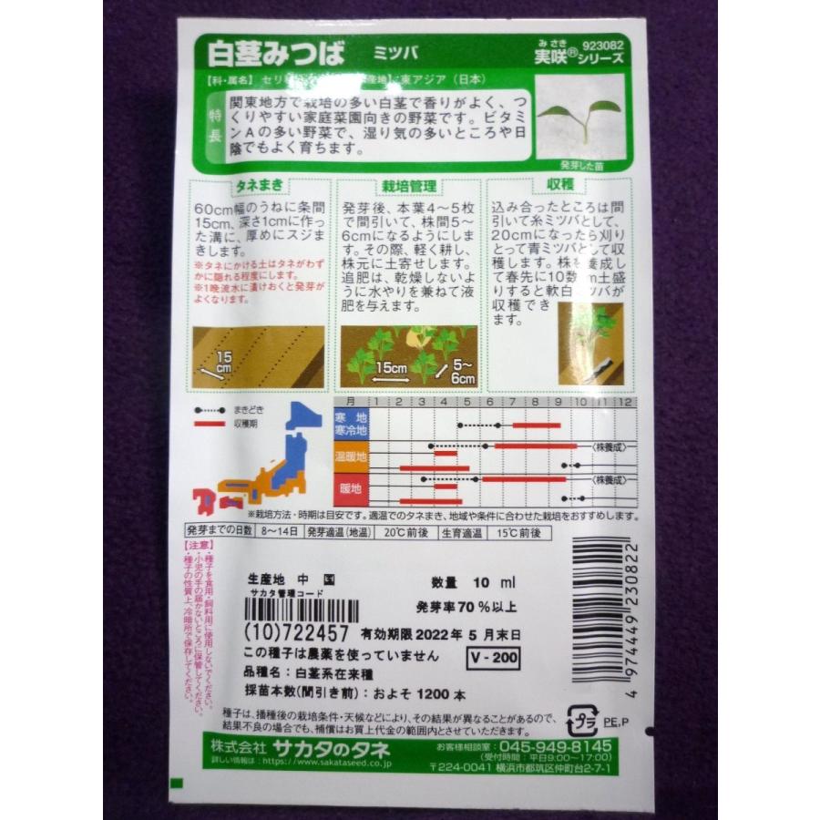 ★種子★処分★ 白茎みつば V サカタのタネ 22.05 ◎湿り気の多いところや日陰でもよく育ちます♪ (ゆうパケット便可能)|farmmikawa|02