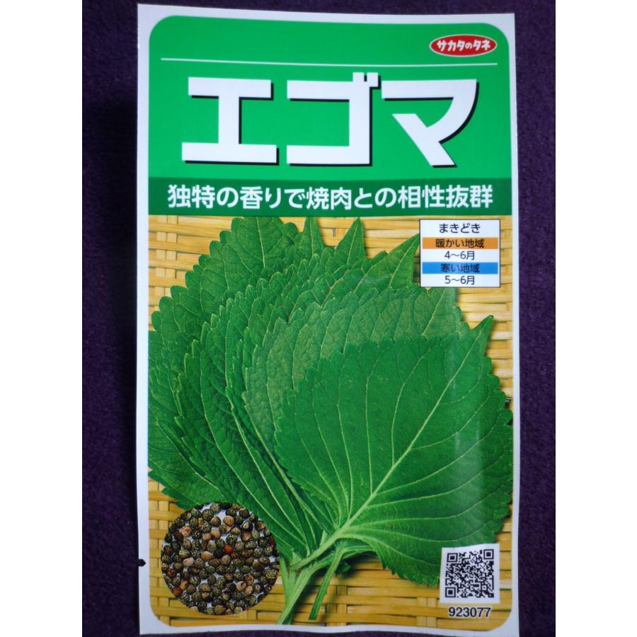 本店 種子 エゴマ V サカタのタネ 韓国でおなじみのヘルシー野菜 最大45%OFFクーポン 白種 22.10 ゆうパケット便可能