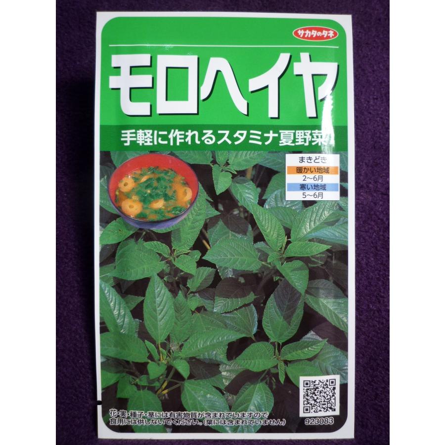 99円 最大55 Offクーポン 種子 モロヘイヤ V サカタのタネ 22 10 手軽に作れるスタミナ夏野菜 ゆうパケット便可能