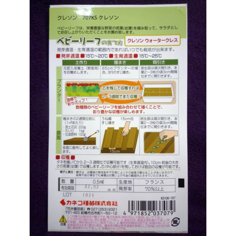 ベビーリーフ種子 クレソン ウォータークレス カネコ種苗 22 02 鉄分などの栄養豊富 ゆうパケット便可能 a ガーデンショップ ミカワ 通販 Yahoo ショッピング