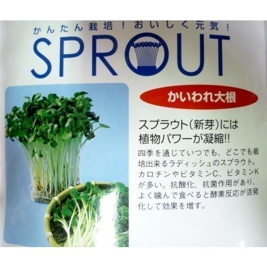 スプラウト種子 処分 かいわれ大根 ４０ｍｌ 中原採種場 22 02 四季を通じていつでも栽培 ゆうパケット便可能 e ガーデンショップ ミカワ 通販 Yahoo ショッピング