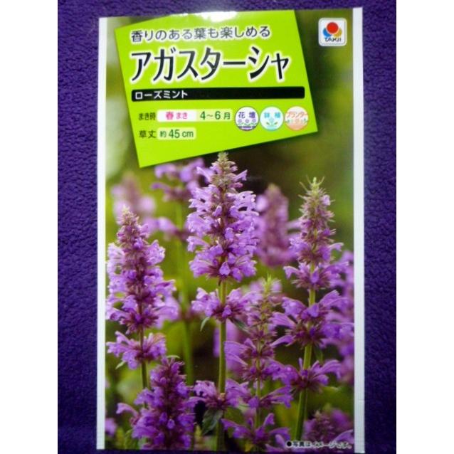 66円 至高 種子 アガスターシャ ローズミント タキイ種苗 22 10 香りのある葉もたのしめる ゆうパケット便可能
