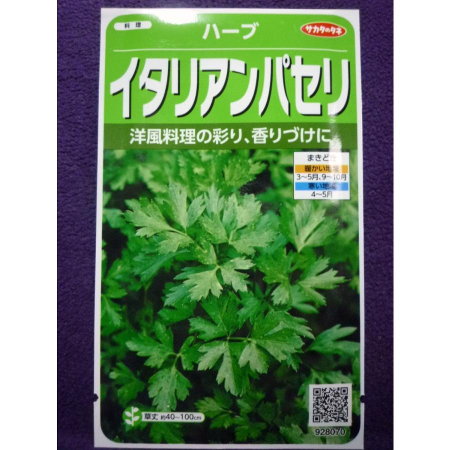 高い素材 種子 イタリアンパセリ H サカタのタネ 22 10 さまざまな料理の飾りつけに ゆうパケット便可能