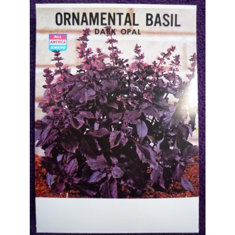 種子 オーナメンタル バジル ダーク オパール 藤田種子 22 11 ゆうパケット便
