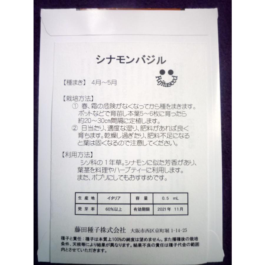 種子 シナモン バジル 藤田種子 21 11 ポプリやサラダ ハーブティー 正規品スーパーsale 店内全品キャンペーン 花壇の緑取りにも ゆうパケット便可能