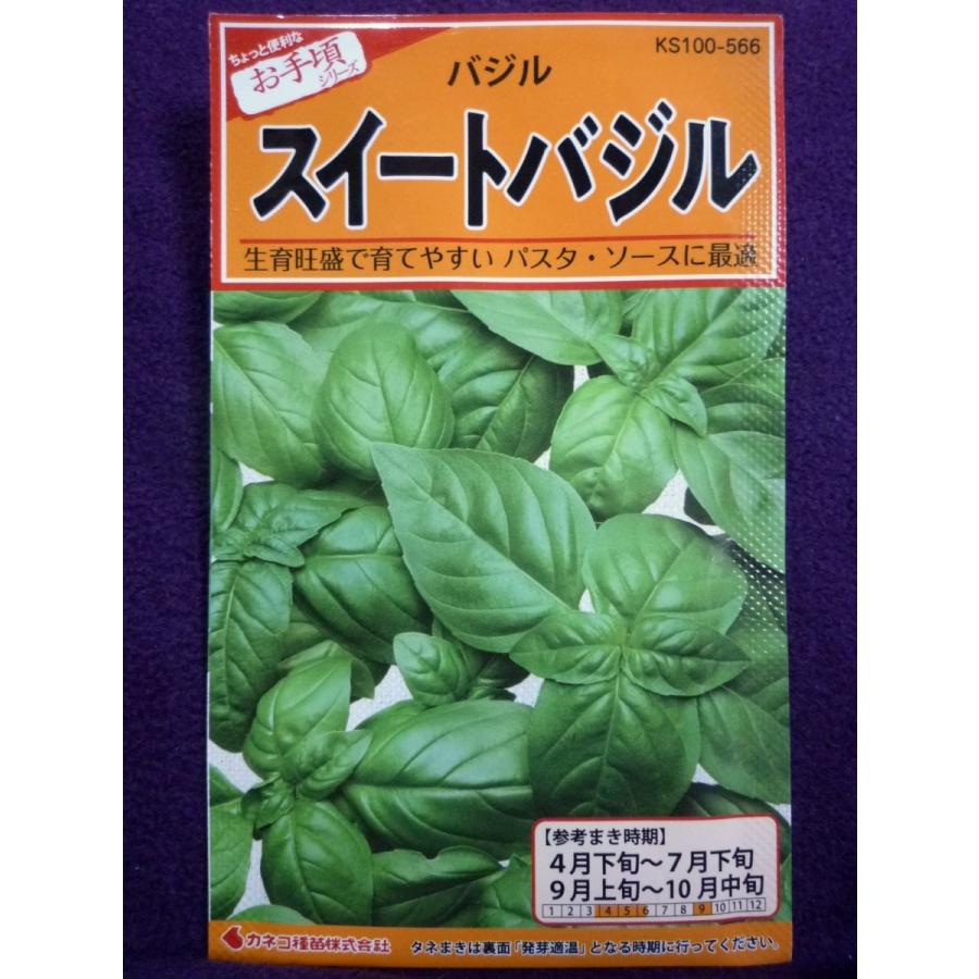 種子 スイートバジル カネコ種苗 22 05 生育旺盛で育てやすい パスタ ソースに最適 ゆうパケット便可能 c ガーデンショップ ミカワ 通販 Yahoo ショッピング