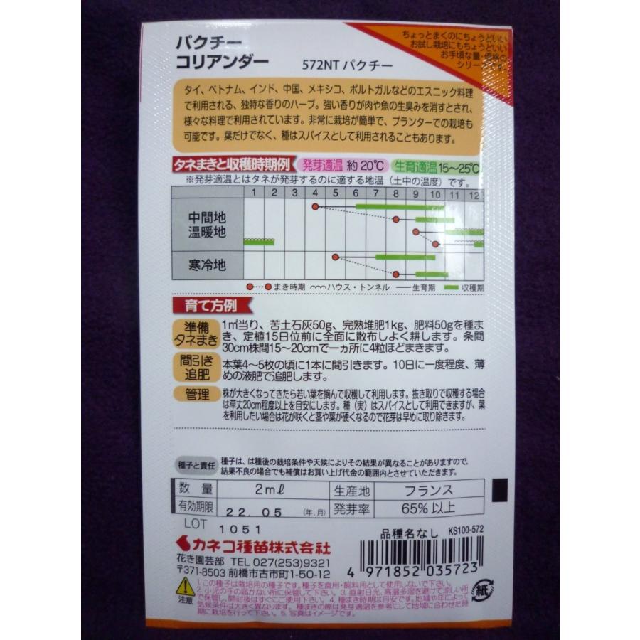 円 特価品コーナー 種子 処分 パクチー コリアンダー カネコ種苗 22 05 エスニック料理で 独特な香りのハーブ ゆうパケット便可能