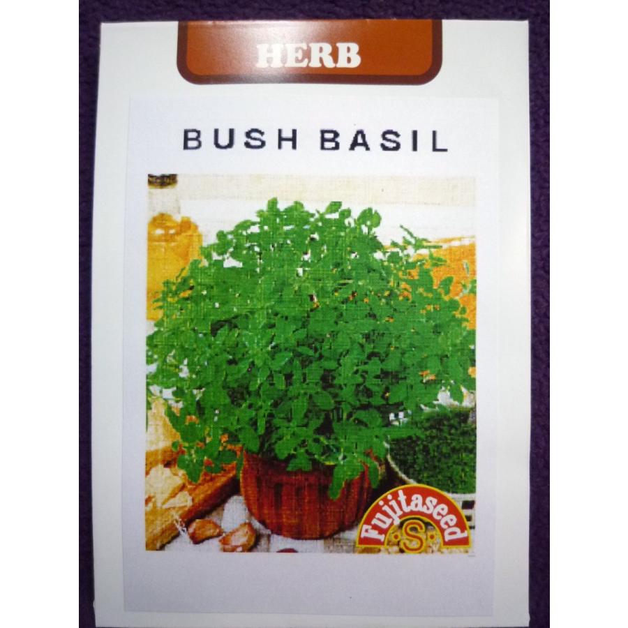 種子 処分 ブッシュバジル 藤田種子 21 11 小さくて可愛らしい葉や花は料理の飾り付けに最適です ゆうパケット便可能 a ガーデンショップ ミカワ 通販 Yahoo ショッピング