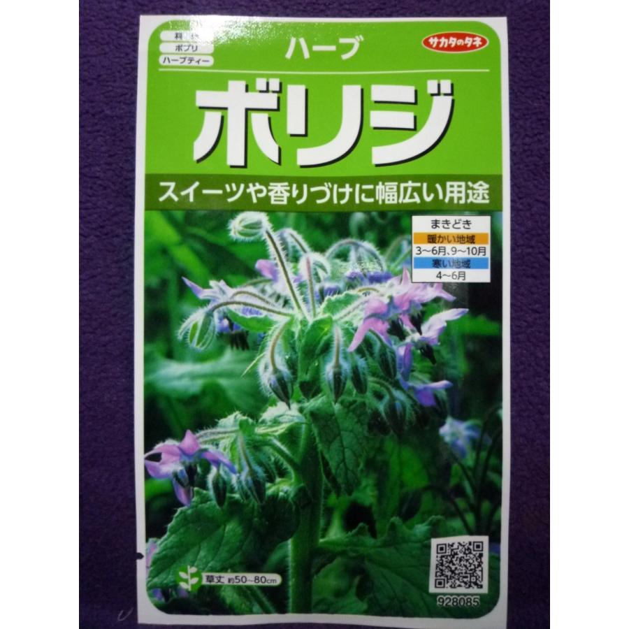 種子 ボリジ ｈ サカタのタネ 22 10 ポプリやオイル漬け砂糖漬けなど多用途に ゆうパケット便可能 a ガーデンショップ ミカワ 通販 Yahoo ショッピング