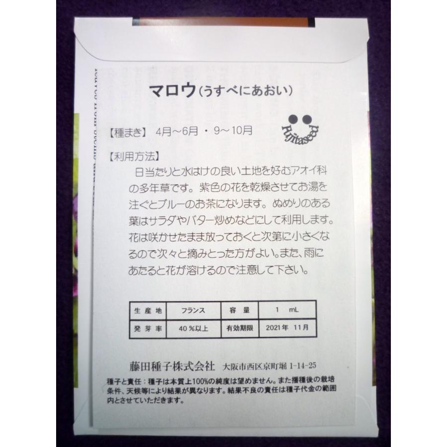 非売品 種子 処分 マロウ 薄紅あおい 藤田種子 21 11 乾燥した花は ハーブティー ポプリに ゆうパケット便可能 Wantannas Go Id