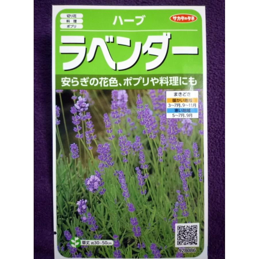 市場 エキナセア グリーンフィールドプロジェクト ハーブ 食用花 種 ムラサキバレンギク エディブルフラワーの種 エキナケア
