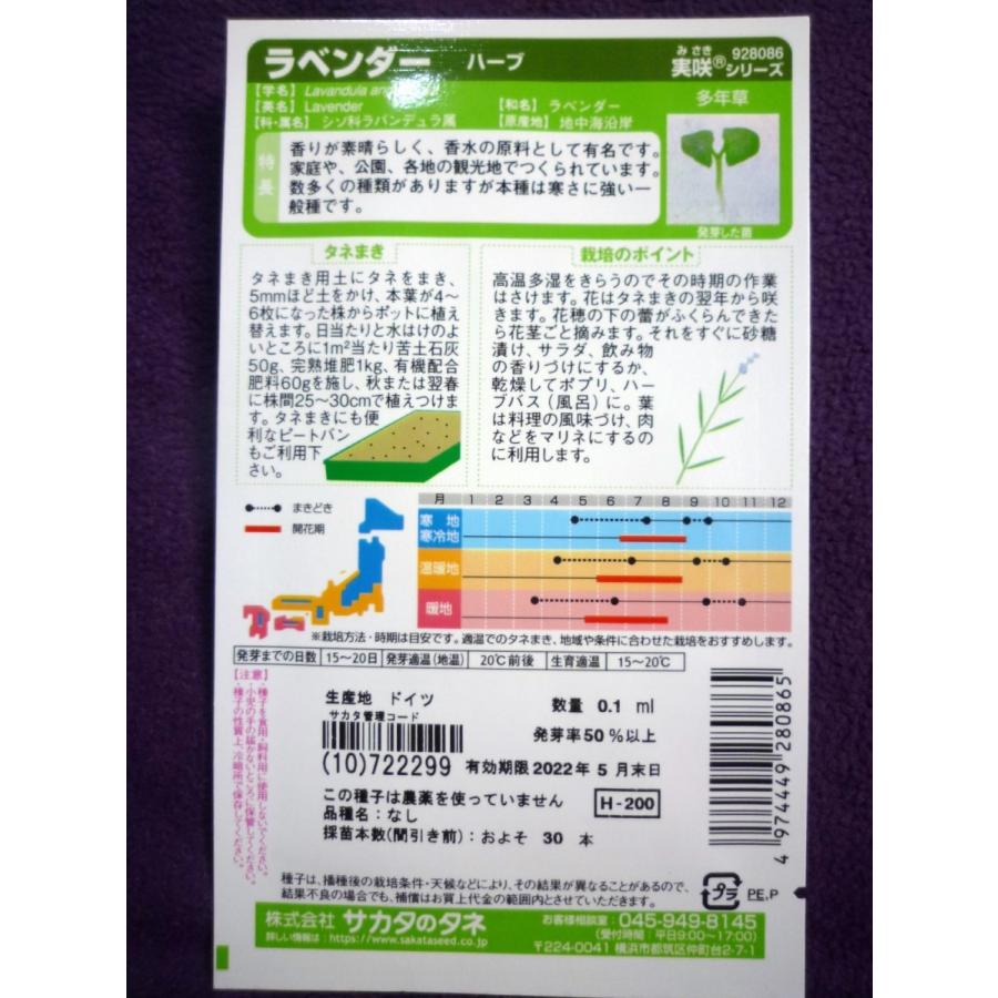5 大好評 種子 処分 ラベンダー H サカタのタネ 22 05 人気のハーブ ゆうパケット便可能 Aynaelda Com