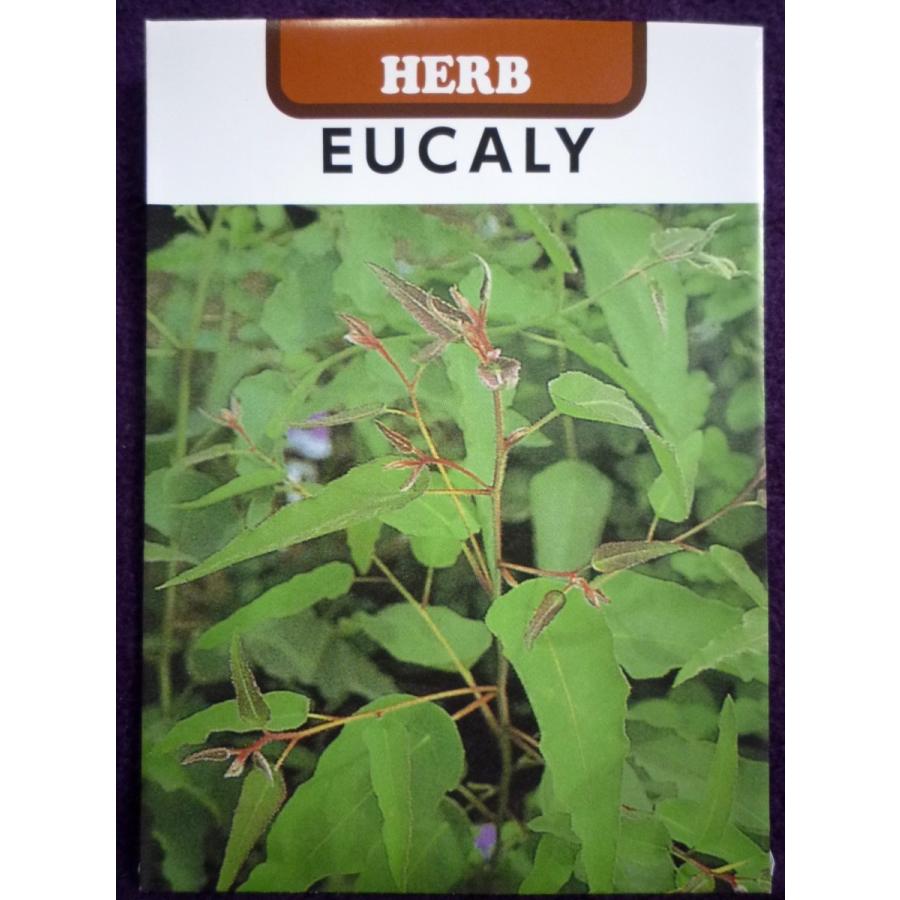 爆買い送料無料 種子 処分 レモン ユーカリ 藤田種子 22 05 葉に強いレモンの香り ゆうパケット便可能