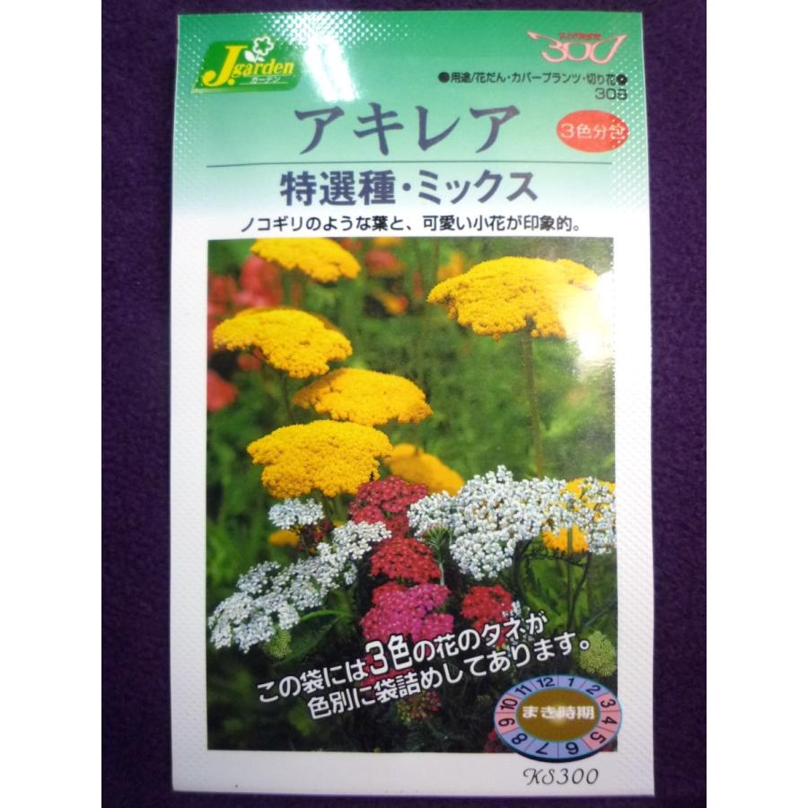 種子 アキレア ３色分包 特選種 ミックス カネコ種苗 22 03 カバープランツやロックガーデンに ゆうパケット便可能 a ガーデンショップ ミカワ 通販 Yahoo ショッピング